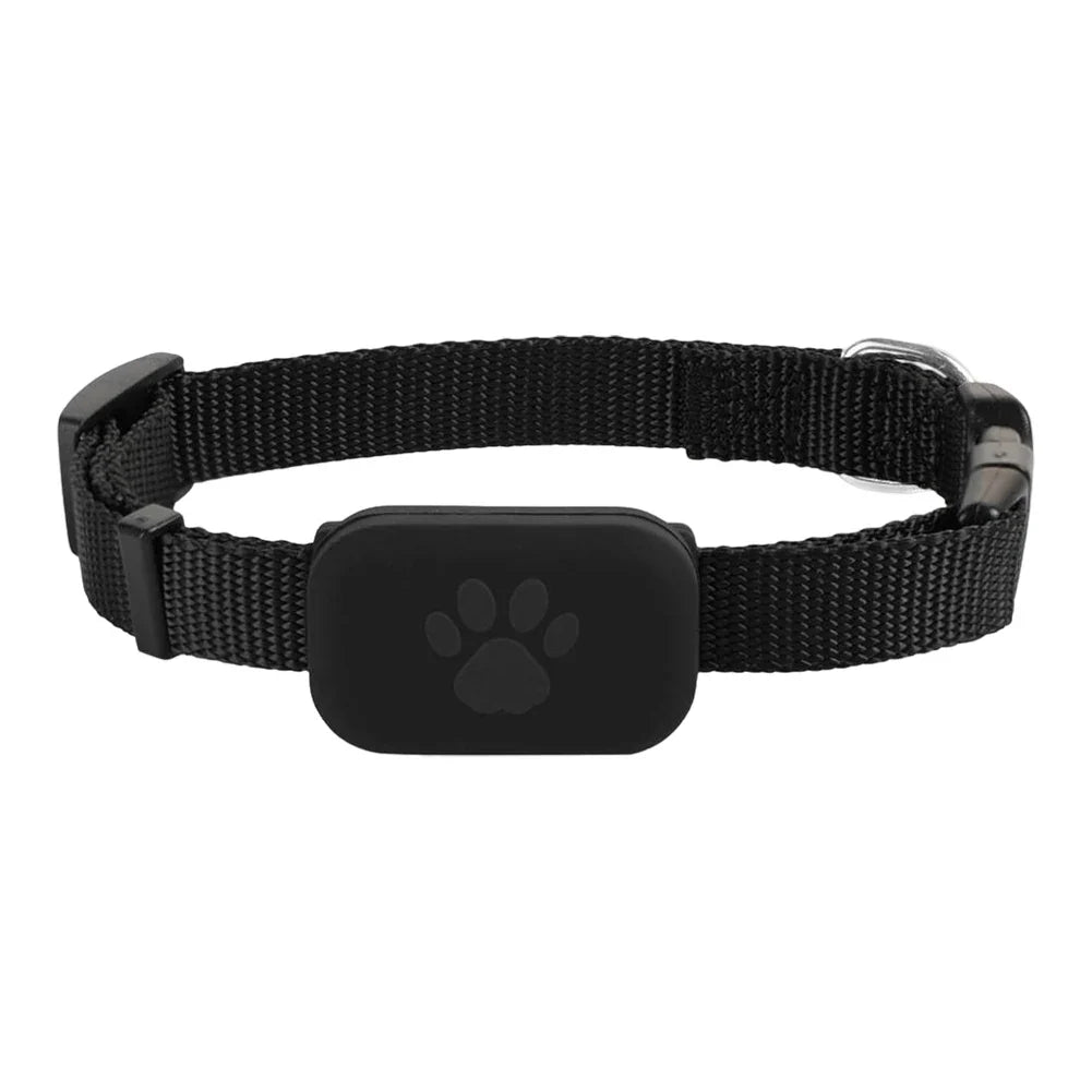 Haustier-Tracker & Locator mit verstellbarem Nylonhalsband für Hunde und Katzen zur präzisen Ortung per Smartphone-App