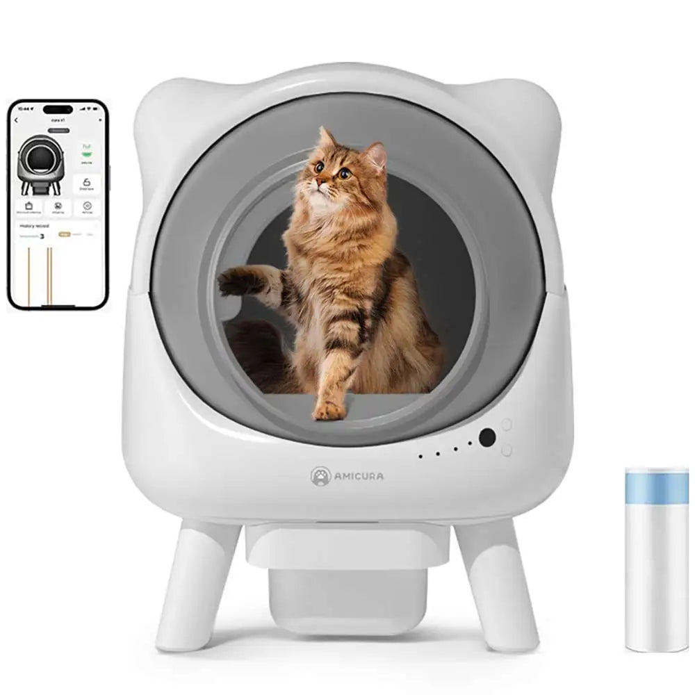 Katze an die automatische Katzentoilette gewöhnen: 4 Schritte zum Erfolg 🐾
