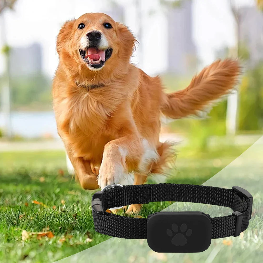Haustier-Tracker & Locator am verstellbaren Nylonhalsband für Hund und Katze