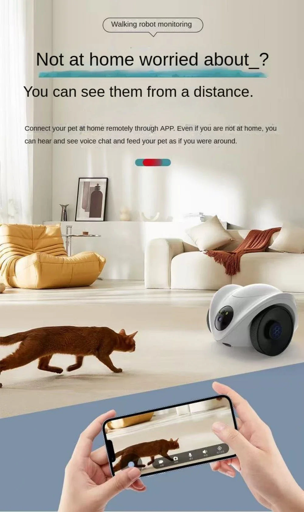 Moderner Katzen-Roboter als interaktiver Spielgefährte mit Leckerli-Spender und HD-Kamera
