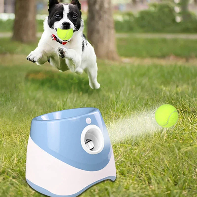 Automatischer Ballwerfer für Hund mit 3 Einstellbaren Distanzen und kabellosem Design