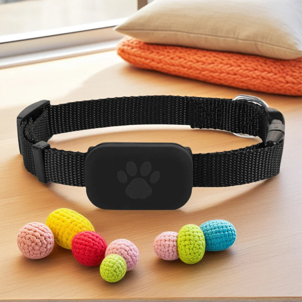 Smarter Haustier-Tracker & Locator mit verstellbarem Nylonhalsband für Hunde und Katzen zur präzisen Ortung per Smartphone-App