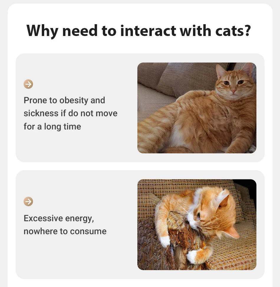 ROJECO Smart-Laser automatisches Katzen-Laser-Spielzeug für spielende Katze