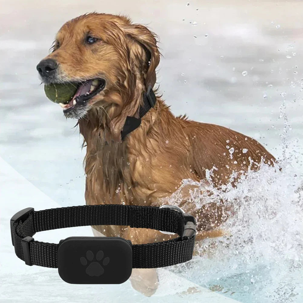 Intelligenter Haustier-Tracker & Locator mit verstellbarem Nylon-Halsband für Hunde und Katzen, wetterbeständig und ultraleicht