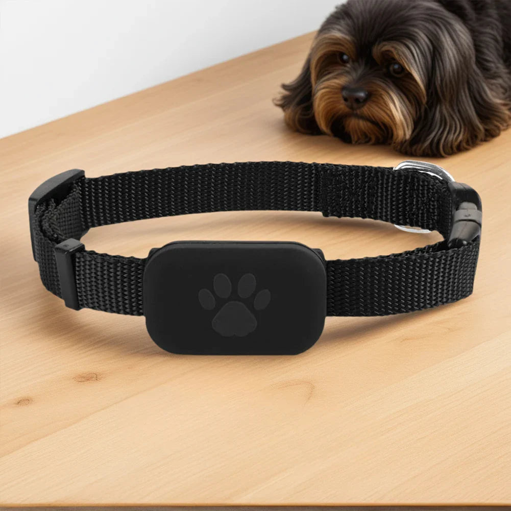 Kompakter smarter Haustier-Tracker & Locator mit verstellbarem Nylonhalsband für Hunde und Katzen