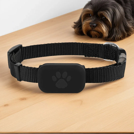 Kompakter smarter Haustier-Tracker & Locator mit verstellbarem Nylonhalsband für Hunde und Katzen
