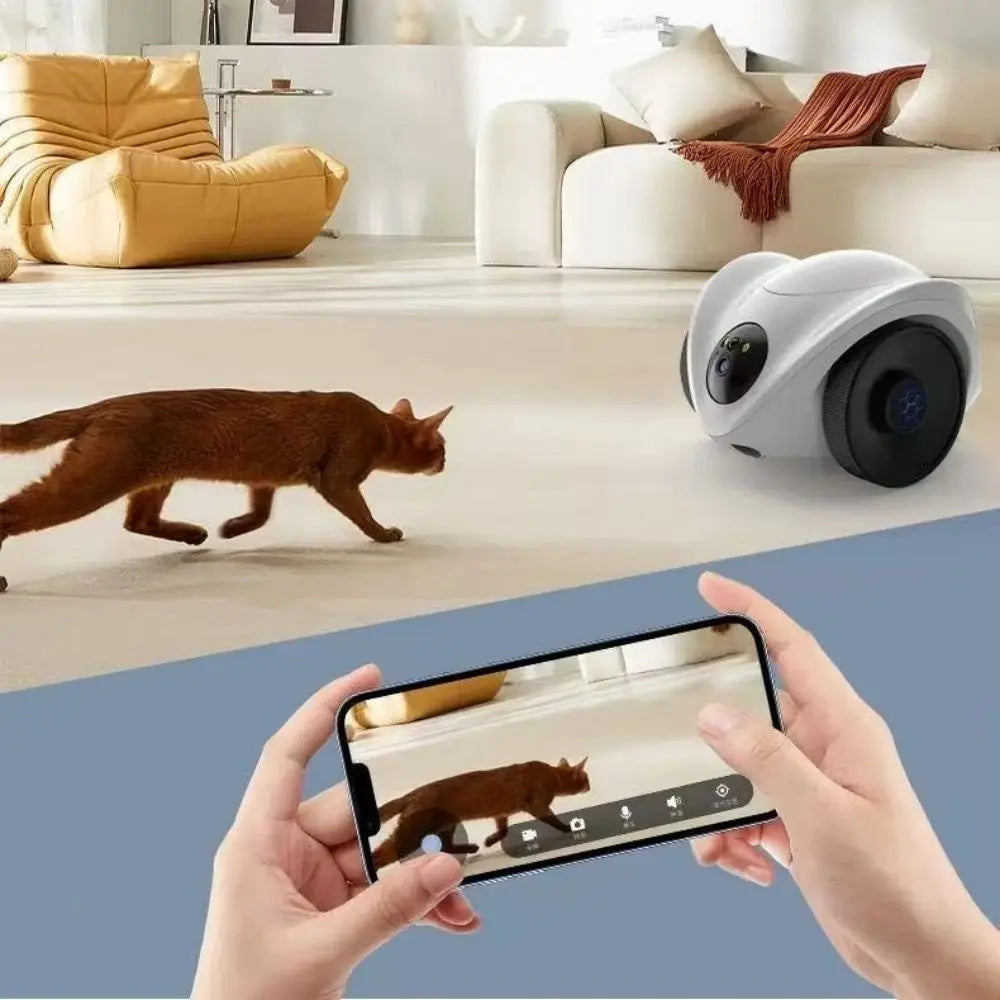Intelligenter Katzen-Roboter als interaktiver Spielgefährte und Leckerli-Spender für Katzen zuhause